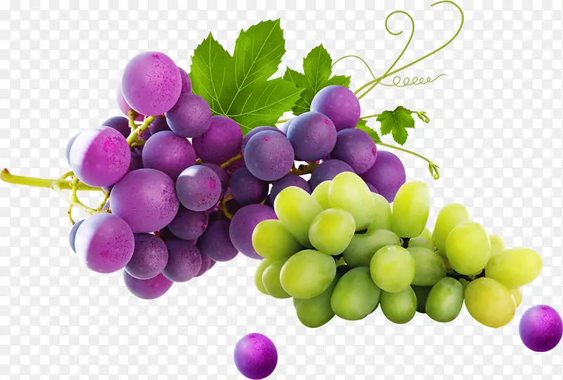 ����ˮ����������-������