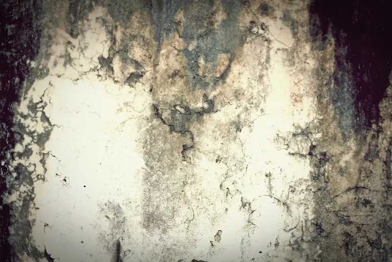 ����ǽ�ڵ��Ʊ���-������