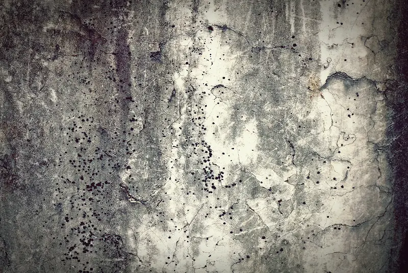 ����ǽ�ڱ���-������