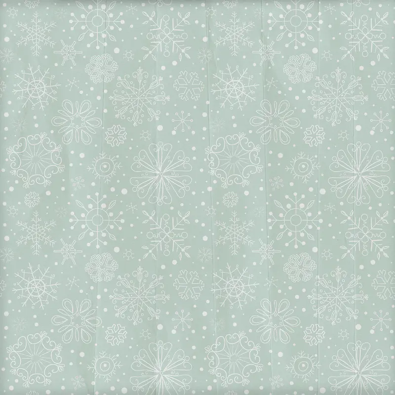 ѩ�����Ʊ���-������