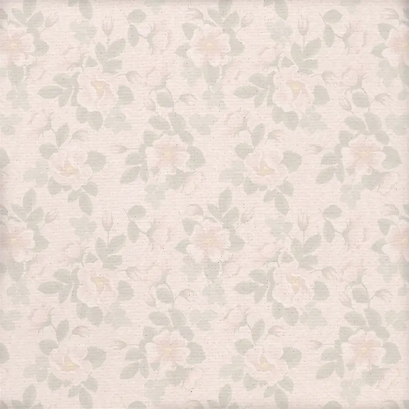 �����ʻ���������-������