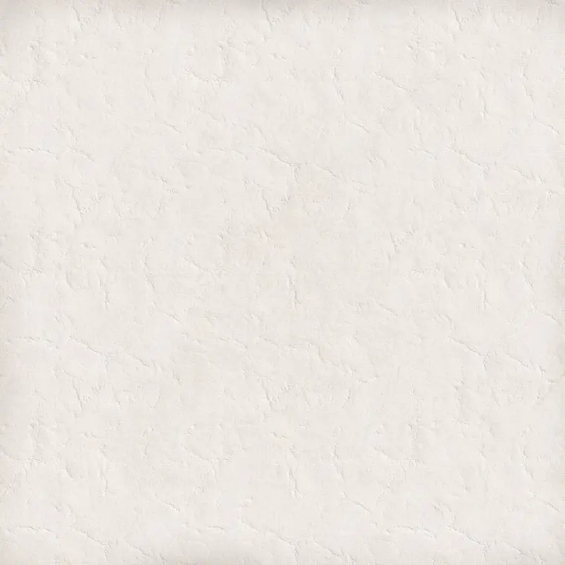 ����ֽ����������-������