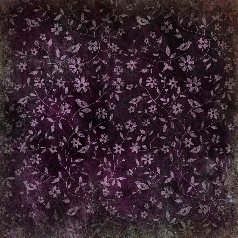 ֲ�ﻨ�ٱ���-������