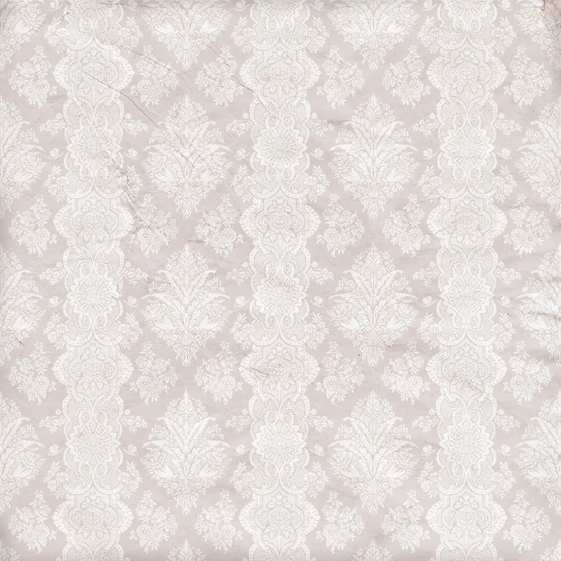 ����ŷʽ���Ʊ���-������