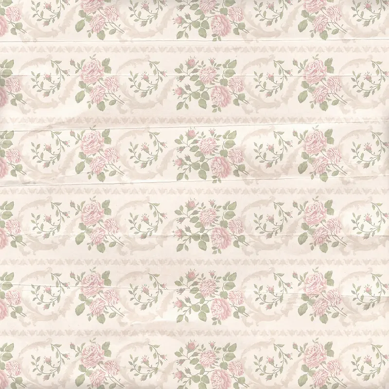 ����õ�廨����-������