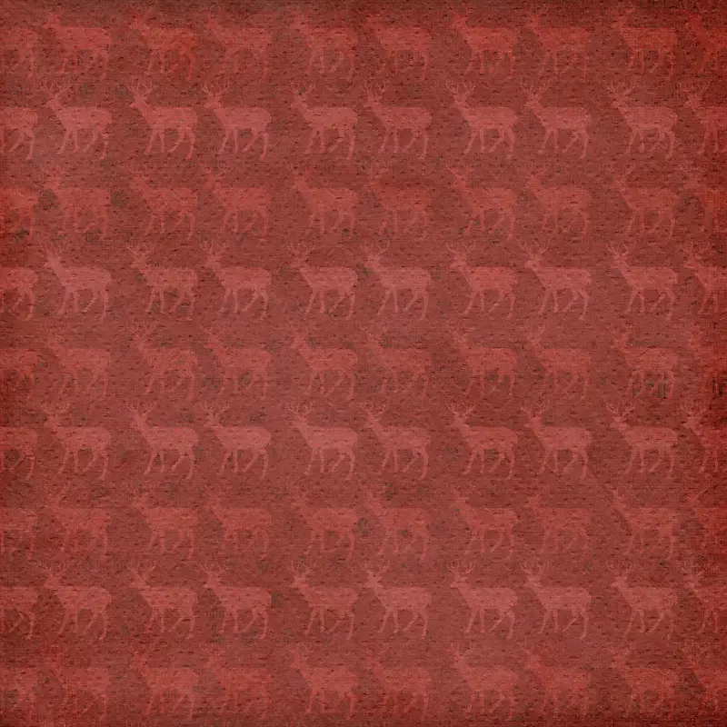 ��¹��������-������