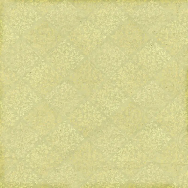 ���Ż��Ʊ���-������