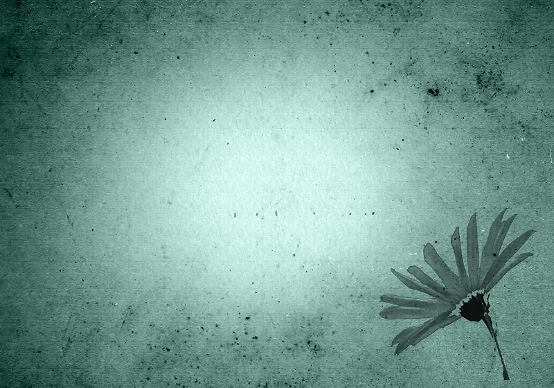 �ʻ���ֽ�ű���-������