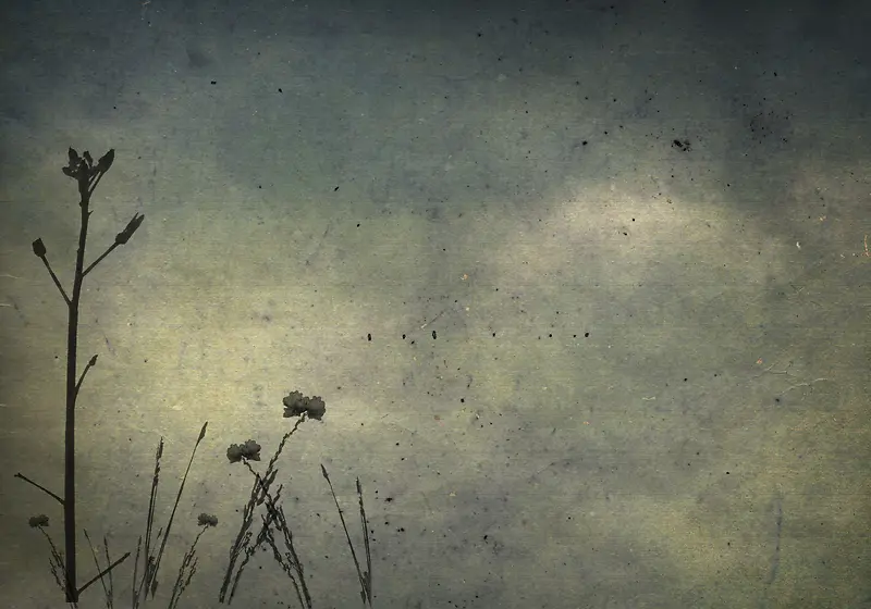 ���Ż��Ʊ����߿�-������