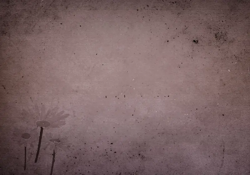 ���Ż��䱳���߿�-������