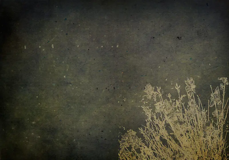 ����ֲ�ﱳ���߿�-������