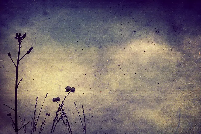 ���Ż��ɻ���ֲ�ﱳ��-������