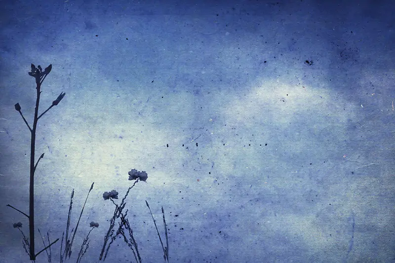 ֲ�ﻨ�ܱ���-������