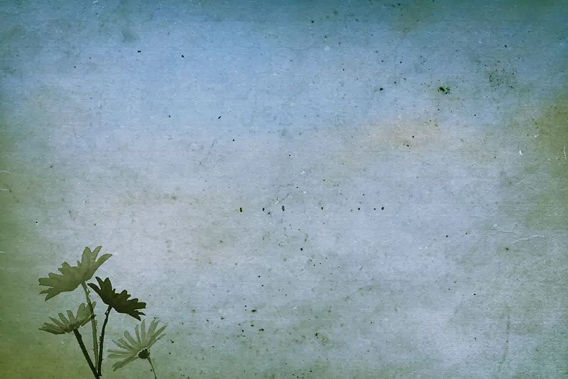 ����ֽ�����ʻ�����-������