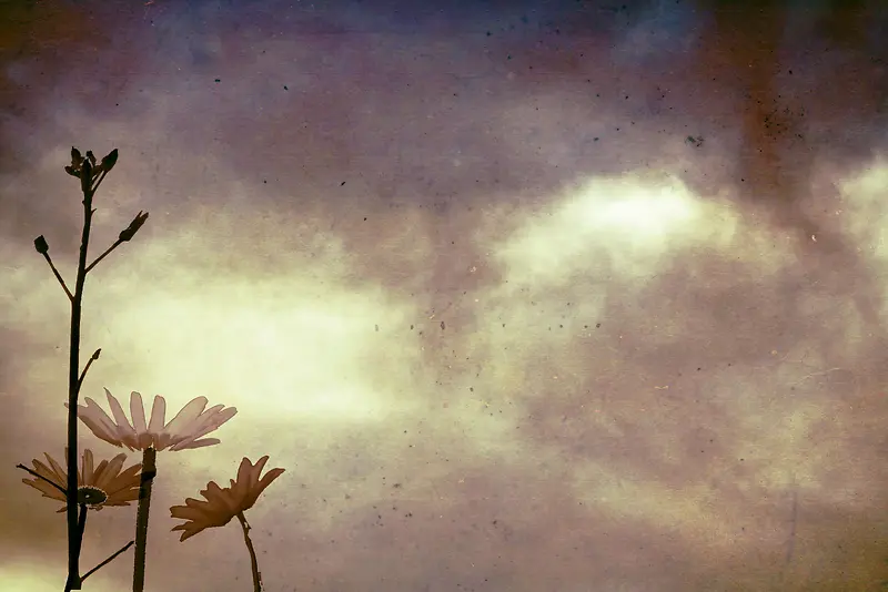 �����ʻ�����-������