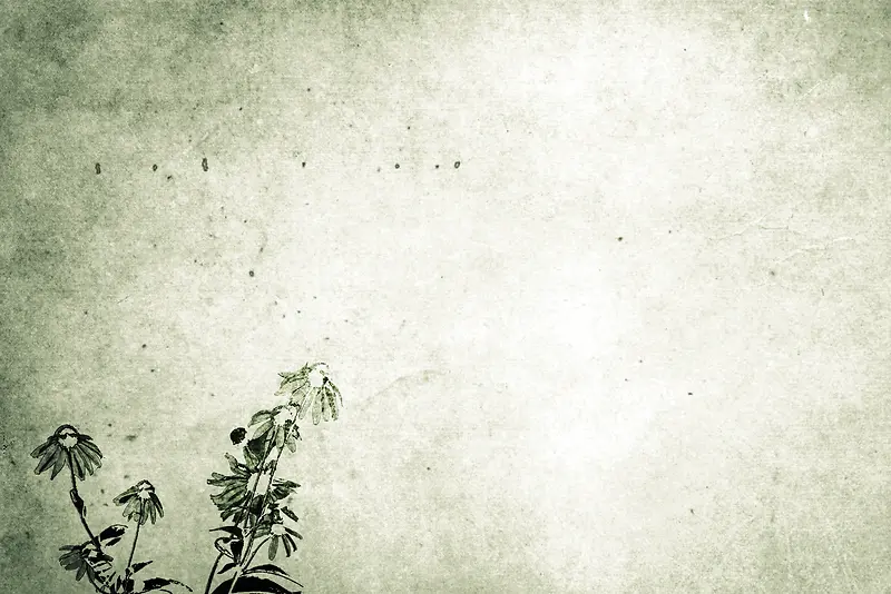 �����ʻ�����-������