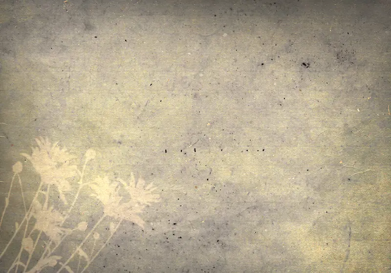 ����ֽ���ʻ�����-������