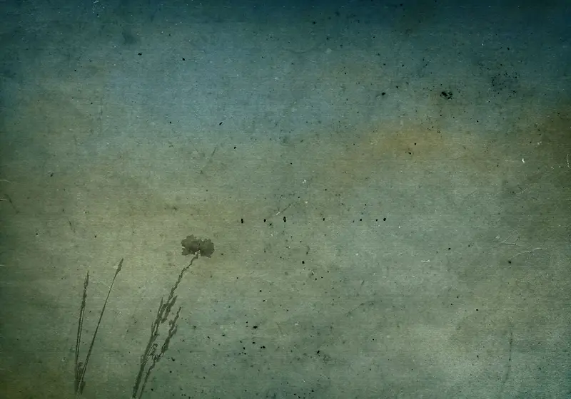 ���Ż���ֲ�ﱳ��-������