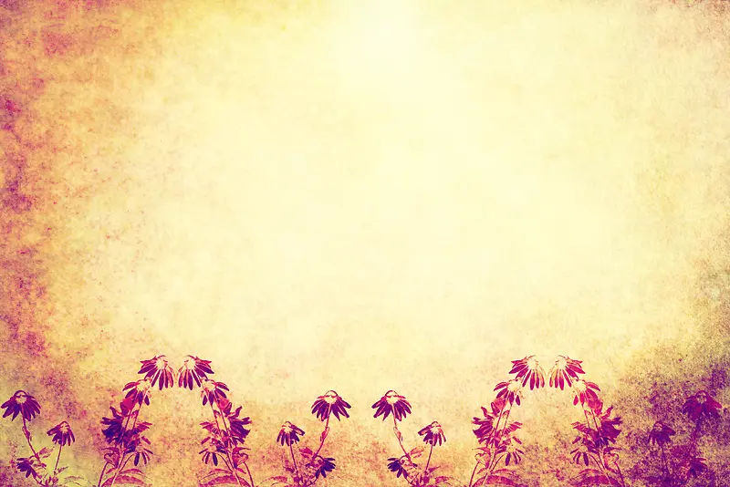 ���ɻ���ֲ�ﱳ���߿�-������