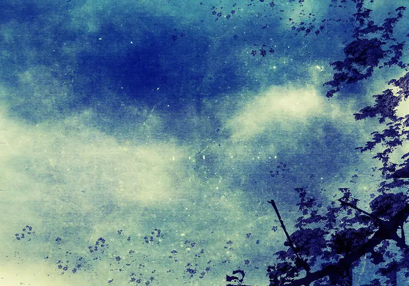 ���Ż���ֲ�ﱳ��-������