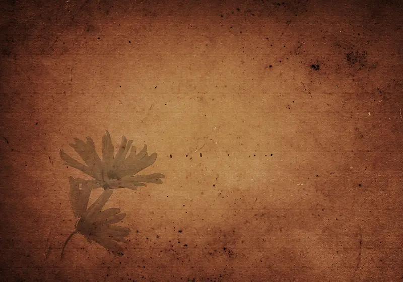 �����ʻ���������-������