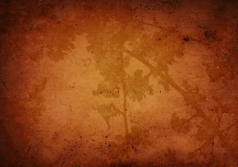 ���Ż���ֲ�ﱳ��-������