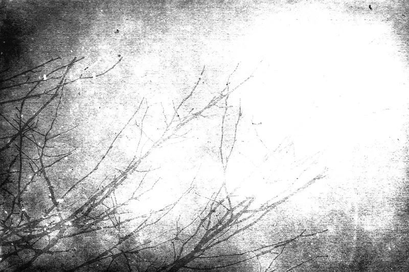 ����ֲ�ﱳ������-������