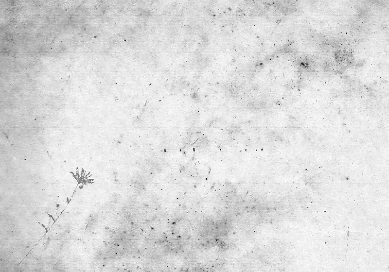 �����ʻ���������-������