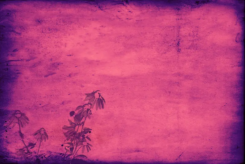 ���ɻ���ֲ�ﱳ��-������