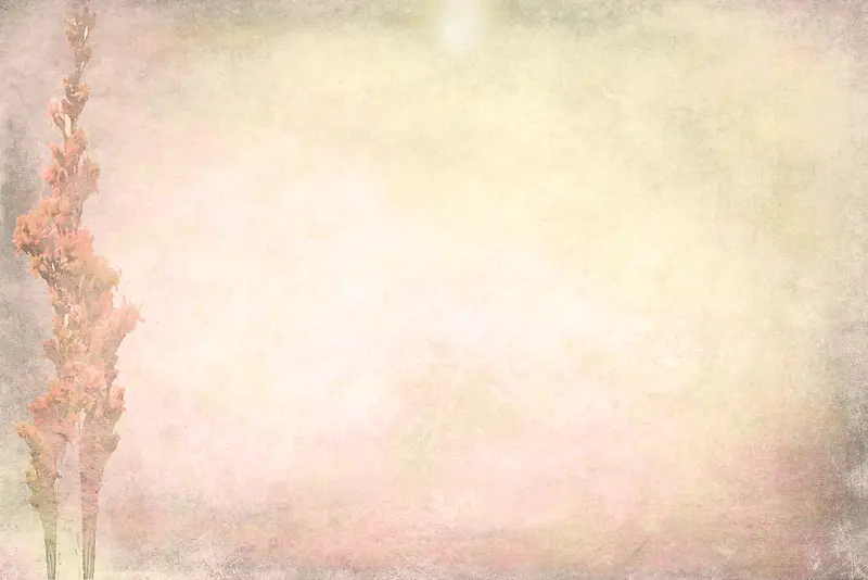 ���Ż��Ʊ���-������