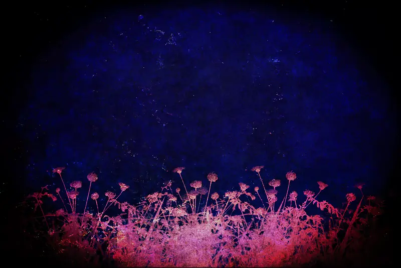 ����ֲ�ﻨ�Ʊ���-������