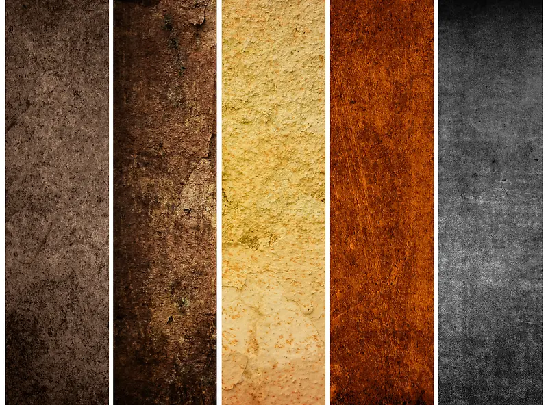 5�Źŵ䱳��-������