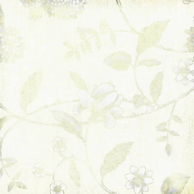 ����ֽ�Ż��Ʊ���-������