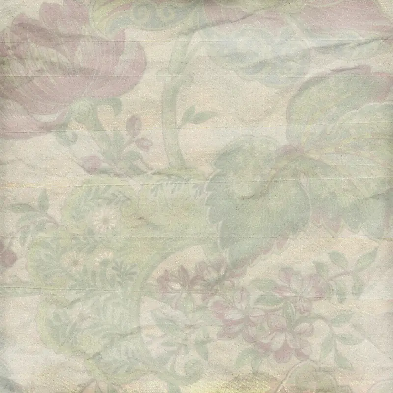 ���Ż��Ʊ���-������