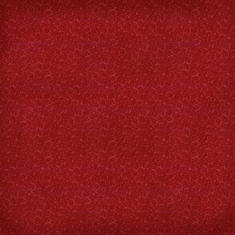 ���Ż��Ʊ���-������