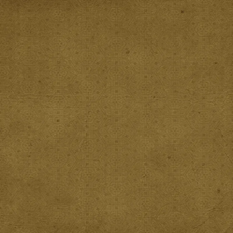 ���Ż��Ʊ���-������