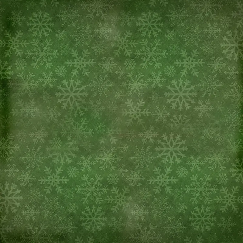 ѩ������-������