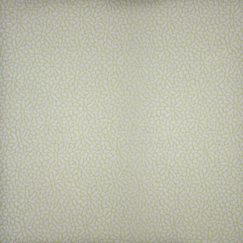 ֯����������-������