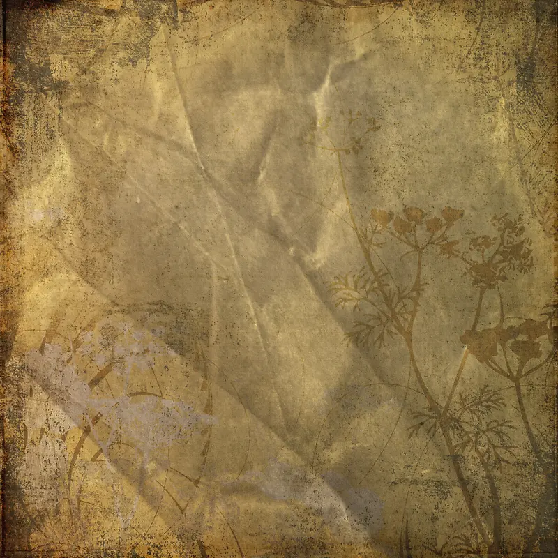 ���Ż��Ʊ���-������