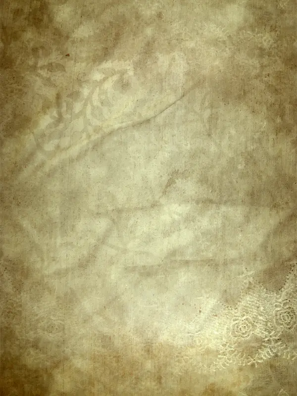 ���Ż��Ʊ���-������