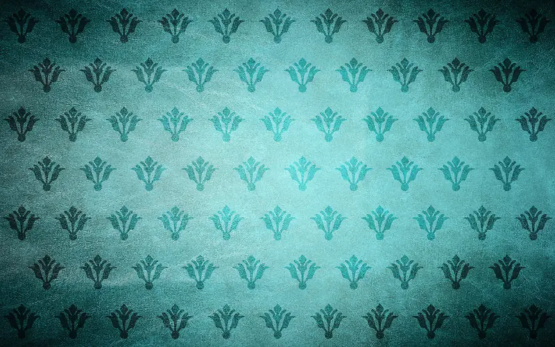 ���Ż��Ʊ���-������