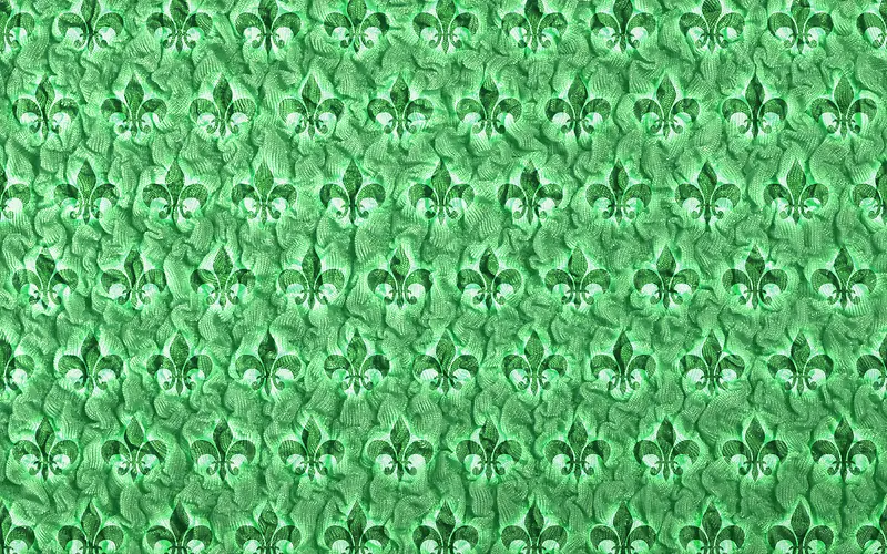 ŷʽ���Ʊ���-������