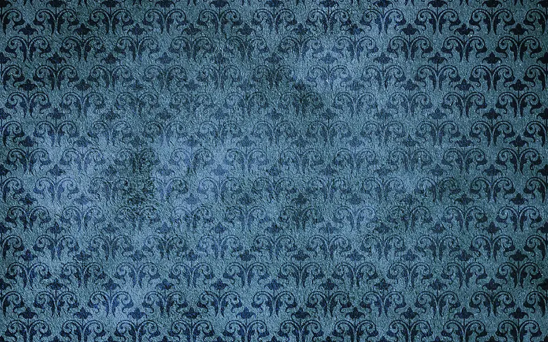 ���Ż��Ʊ���-������