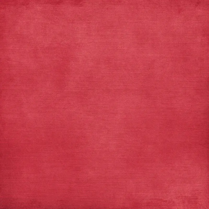 ����ֽ����������-������