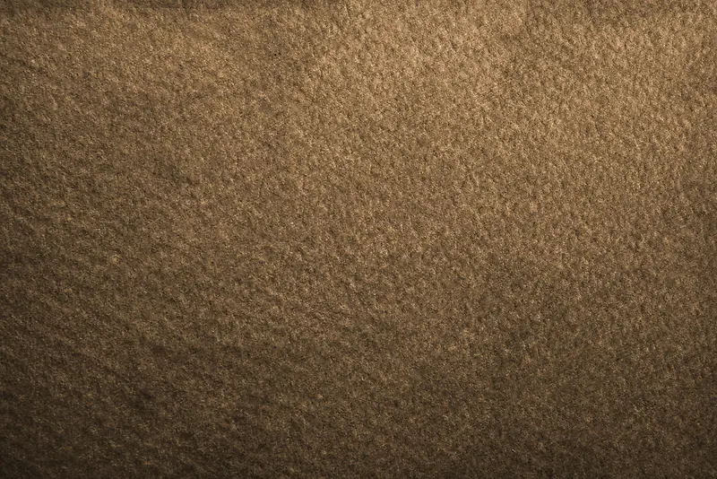 ֽ����������-������