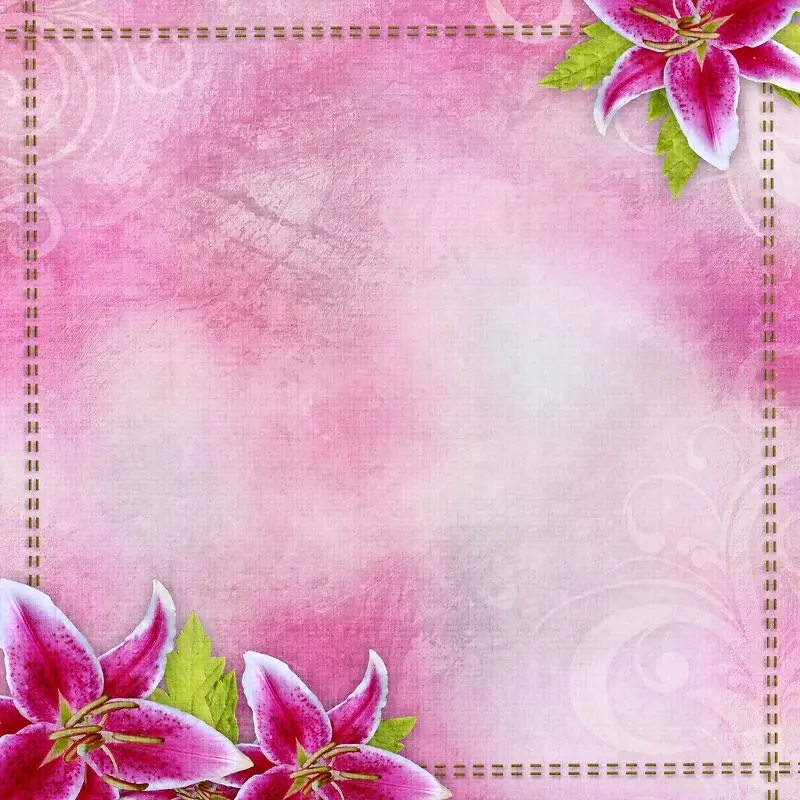 ��ɫ���䱳���߿�-������