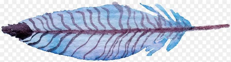 �ֻ���ë-������