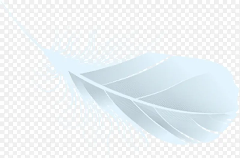 Ψ����ɫ��ë����-������