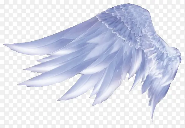 ��ɫ�ֻ���ë���-������