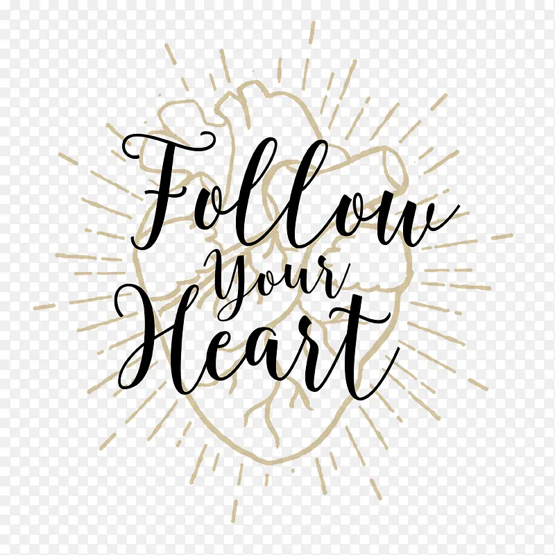 ����-������